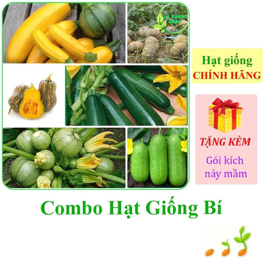 [Seeds] Nhiều Loại Hạt Giống Bí Chính Hãng, Dễ Trồng, Sai Trái, Sinh Trưởng Khỏe