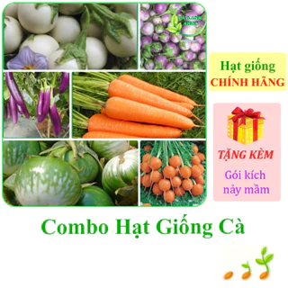 [Seeds] Nhiều Loại Hạt Giống Cà Chính Hãng, Dễ Trồng, Sinh Trưởng Khỏe