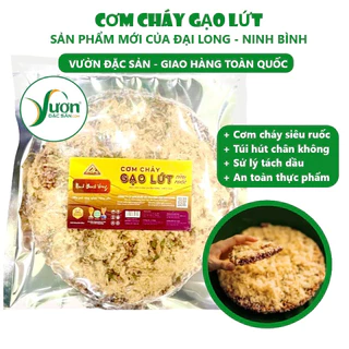 Cơm cháy gạo lứt Đại Long Ninh Bình Vàng (Túi 200g) cơm cháy gạo lức siêu chà bông (Ruốc) ăn vặt ngon - Vườn Đặc Sản