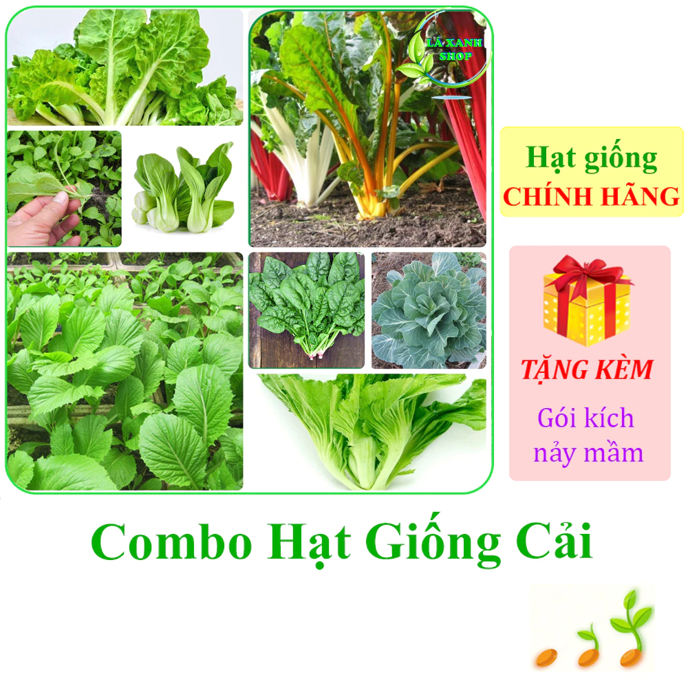 [Seeds] Nhiều Loại Hạt Giống Rau Cải Chính Hãng, Ăn Ngon, Dễ Trồng, Sinh Trưởng Khỏe