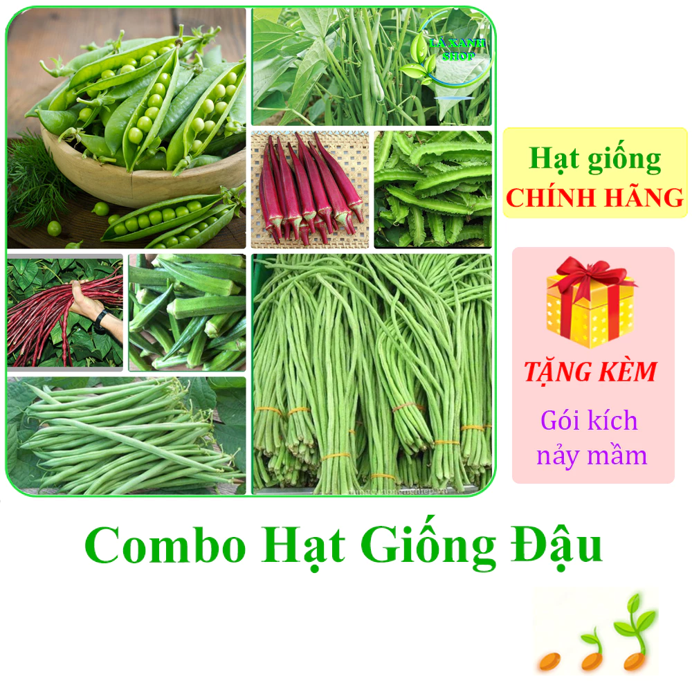 [Seeds] Nhiều Loại Hạt Giống Đậu Chính Hãng, Dễ Trồng, Sai Trái, Sinh Trưởng Khỏe