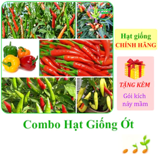 [Seeds] Nhiều Loại Hạt Giống Ớt Chính Hãng, Dễ Trồng, Sinh Trưởng Khỏe