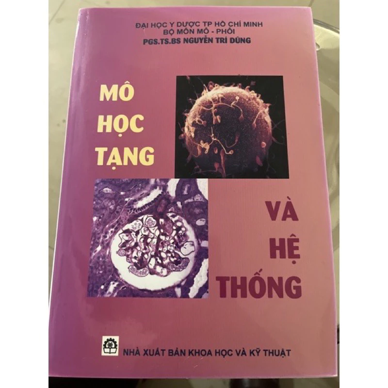 Mo hoc tang va he thong