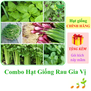 [Seeds] Nhiều Loại Hạt Giống Rau Gia Vị Chính Hãng, Dễ Trồng, Sinh Trưởng Khỏe