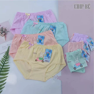 Set 5-10 Quần Chíp Bé Gái Tam Giác Cotton Mềm Mại Size 8-30kg