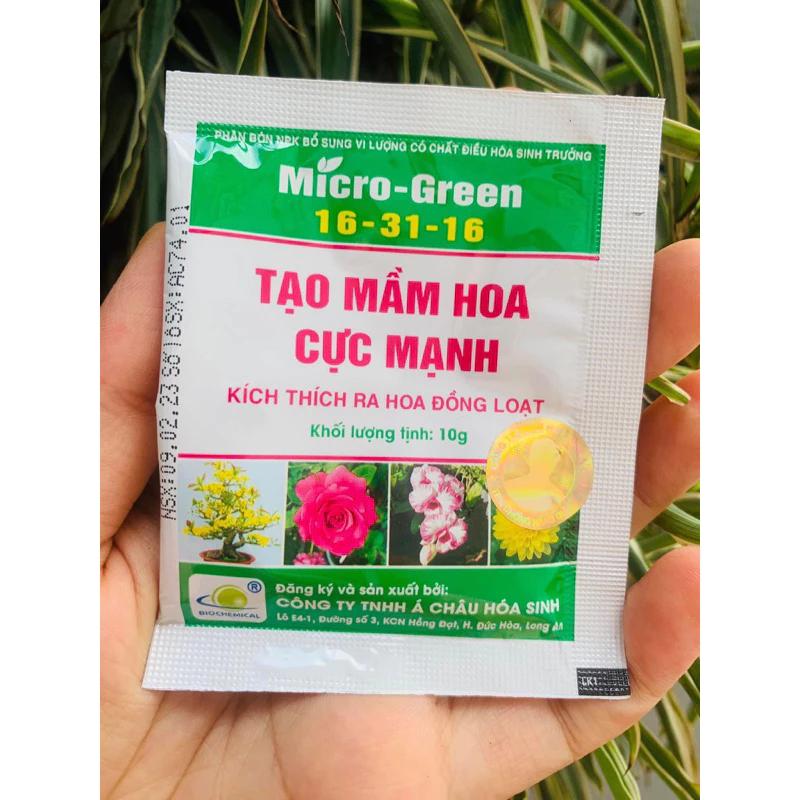 kích tạo mầm hoa cực mạnh 16-31-16