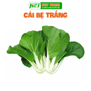 Hạt giống Cải Bẹ Trắng chịu nhiệt, dễ nảy mầm - h2t farm