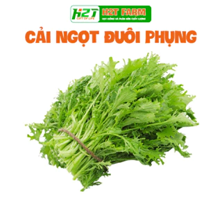 Hạt giống cải ngọt đuôi phụng xanh - H2T FARM