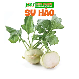 Hạt Giống Su Hào Giòn Ngọt, Dễ Trồng - H2T FARM