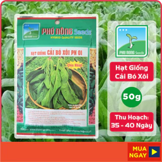 Hạt Giống Cải Bó Xôi Phú Nông Gói 50g