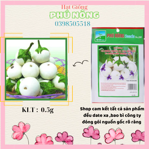 Hạt Giống Cà Pháo Trắng Cao Sản Phú Nông - Gói 0.5g