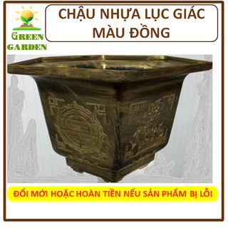 Chậu nhựa trồng cây màu đồng, chậu nhựa lục giác