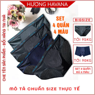 Set 4 quần lót nam thông hơi - quần sịp nam tam giác đùi nhật bản - có size lớn MLQ01