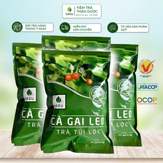 Trà giải độc gan Túi lọc Cà gai leo 1kg hỗ trợ Thải độc, mát gan, tăng cường chức năng Gan