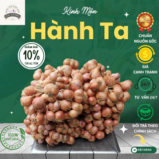 Hành Khô Loại 1 Chuẩn Gốc, Chuẩn Chất Lượng Kinh Môn, Hải Dương. Nhiều Tép, Vị Cay Nồng, Gia Vị Cho Sức Khỏe. Túm 1 Kg.