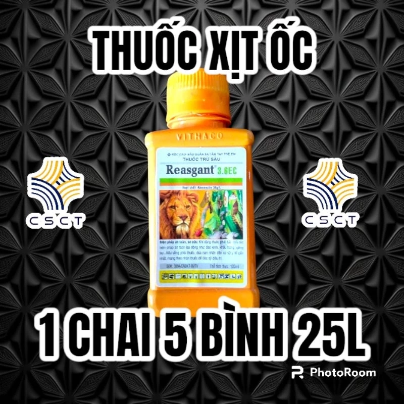 Phòng Ngừa Các Loại Ốc Sên Ăn Lá Xà Lách, Ốc Bưu Vàng Ăn Lá Rau, Ốc Sên Ăn Lá Cây Con, Ốc Ăn Lá Cải Ngọt, Ốc Ăn Cải Xanh