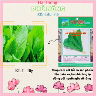 Hạt Giống Cải Bẹ Xanh Mỡ Phú Nông 20g