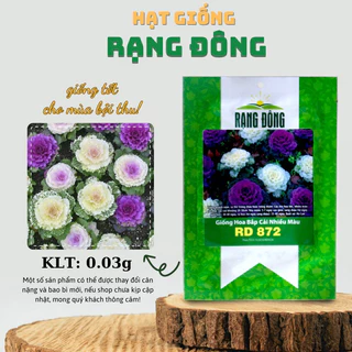 Hạt giống rau Bắp Cải hoa hồng, bắp cải nhiều màu, hoa hồng sa mạc