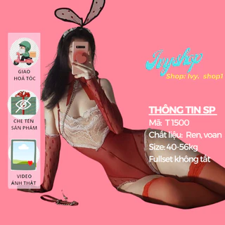 Bộ đồ ngủ sexy cosplay thỏ bunny play girl T1500