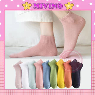 Tất cổ ngắn Mivino vớ nữ cotton nhiều màu dễ thương phong cách Hàn Quốc TN155