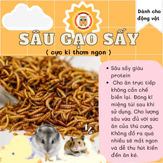 Sâu gạo sấy dành cho hamster sóc nhím...