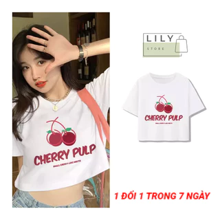 Áo croptop nữ kiểu cổ tròn tay ngắn Lily ôm body, Áo thun nữ in họa tiết quả Cherry CRT17