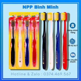 Hộp 12 Chiếc Bàn chải đánh răng Nhật Bản MSP 81