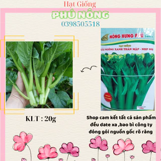 Hạt giống cải ngồng xanh thân mập  Nông Hưng Phú 20gr