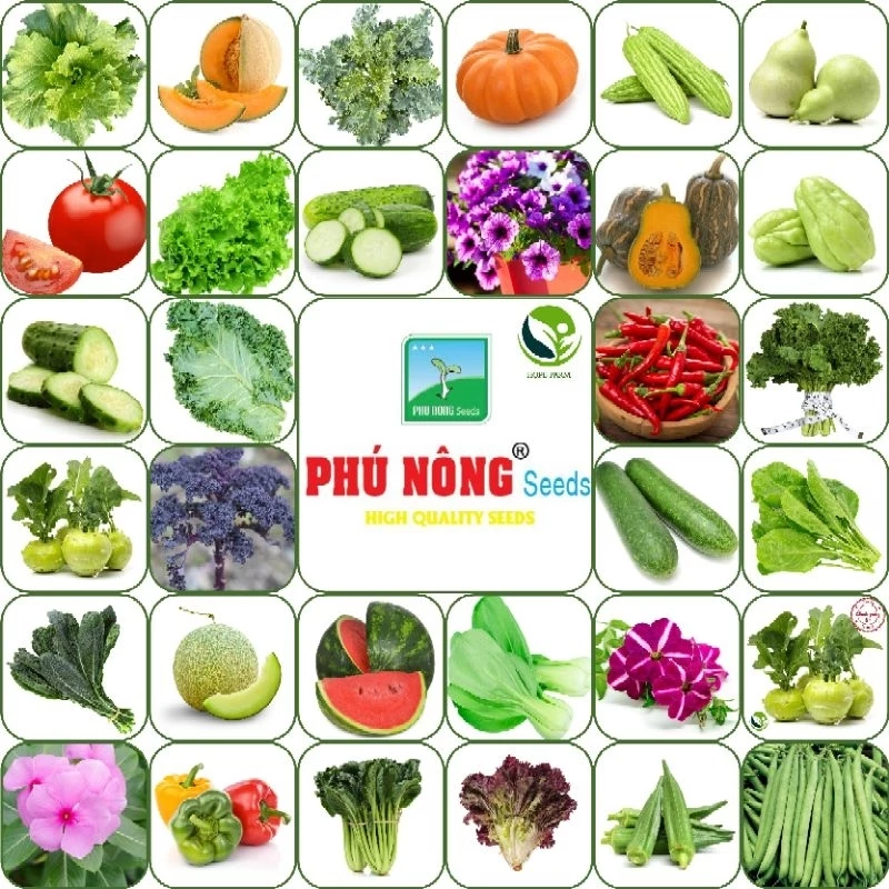 Hạt giống Rau, Củ, Quả F1 Phú Nông Seeds dễ trồng, nhiều chủng loại