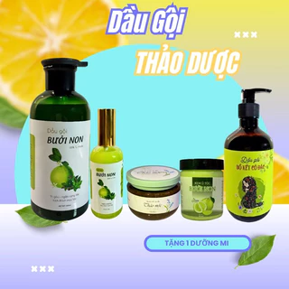 Combo dầu gội bưởi thảo dược kích thích mọc tóc dưỡng mọc tóc - dầu gội bồ kết thảo dược giảm rụng tóc thiên nhiên