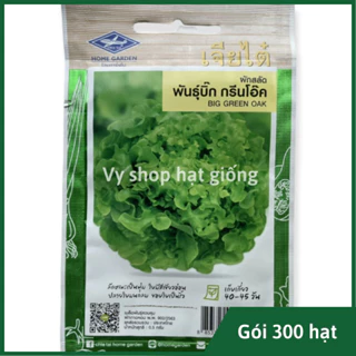 Hạt giống xà lách Salanova Green Oak Thái Lan nguyên gói 500 hạt