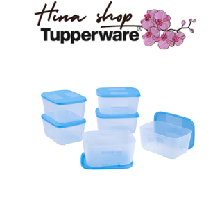 Bộ Hộp Trữ Đông Basic set 6 650ml Tupperware nhựa nguyên sinh an toàn trữ đông và mát chính hãng bảo hành trọn đời