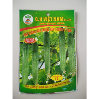 Hạt giống dưa chuột nếp thơm f1 , gói 1gr