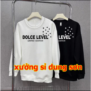 Aó Sweater chữ DOLCE LEVEL ,chất nỉ ctong dầy dặn,Size M ,L, XL