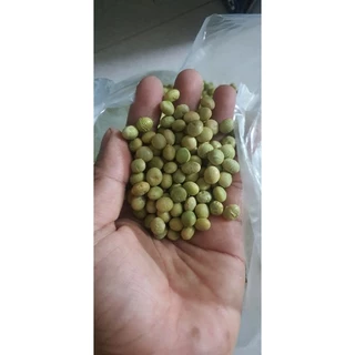 hạt giống đậu nành Nhật (100g)