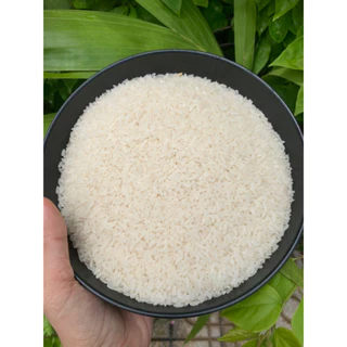 [ Gạo còn cám ] bịch 10kg gạo đài thơm 8 nấu cơm ngon dẻo gạo nhà làm được