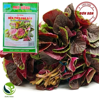 Hạt Giống Dền Tiều Cao Sản Phú Nông - Gói 20g -50g - Amaranth Red & Green Leaves