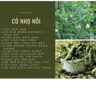 Hạt Giống Cỏ Mực Nhọ Nồi- 50 hạt