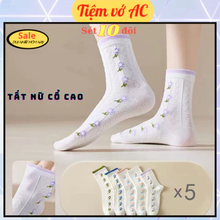 Tất nữ cổ cao sét 10 đôi hoạ tiết dệt nổi bánh bèo 5 màu xinh T19