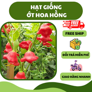 Hạt giống ớt hoa hồng, ớt chuông gió (20 hạt) - siêu trái, nảy mầm nhanh