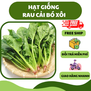 Hạt giống rau cải bó xôi (10 gram) - vị ngọt thanh, nhiều dinh dưỡng, năng suất cao