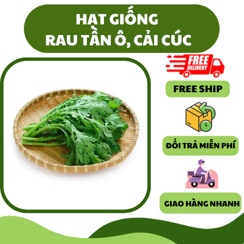 Hạt giống rau cải cúc, rau tần ô (20 gram) - vị ngọt, hơi đắng nhẹ, chịu nhiệt tốt