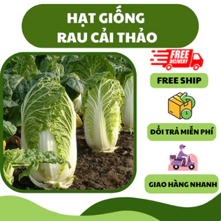 Hạt giống rau cải thảo (50 hạt) - ngọt tự nhiên, thanh nhiệt dễ trồng