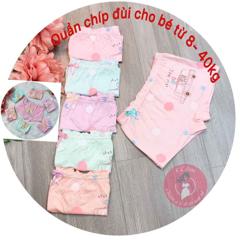 Quần chíp đùi cho bé gái (8-40kg), hàng cotton kháng khuẩn, chất liệu mịn đẹp, co giãn đàn hồi tốt QTE01