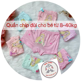 Quần chíp bé gái, quần lót bé gái xinh xắn, 100% cotton thoáng khí, co giãn đàn hồi tốt QTE01