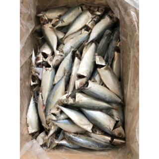 Cá bạc Má tươi ngon làm sạch cấp đông 1kg (giao tphcm)