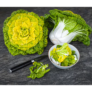 [Hạt giống Mỹ] Gói 100 hạt giống cải bẹ Golden Bok Choy - tỷ lệ nảy mầm 90%