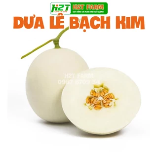 Hạt giống dưa lê bạch kim