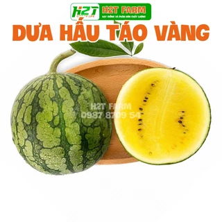 Hạt giống dưa hấu táo ruột vàng