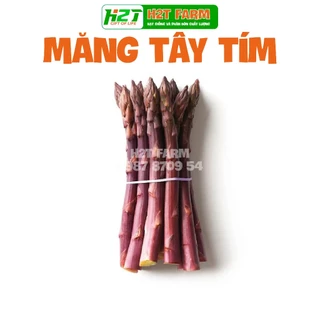 Hạt giống Măng Tây Tím kháng sâu bệnh tốt, trồng quanh năm - H2T FARM